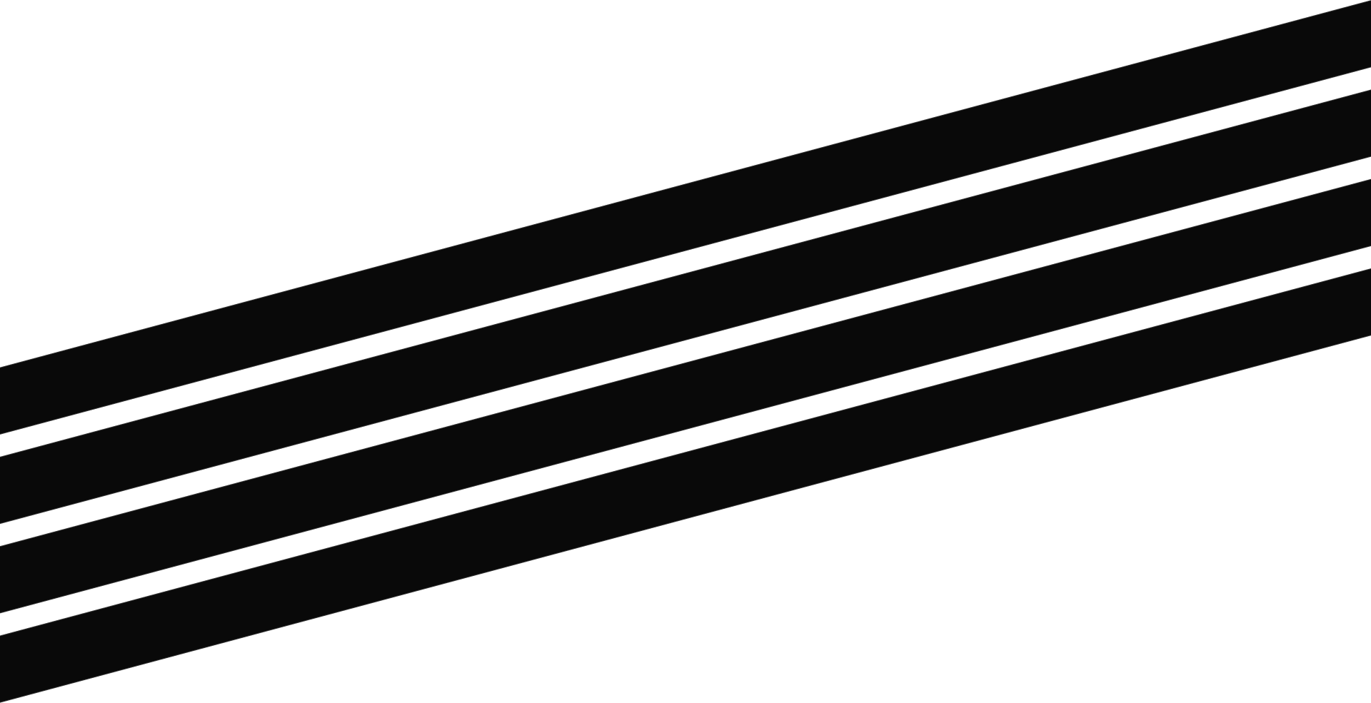 Funfact Top Border
